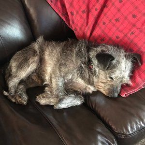 Meet your Posher, Travis